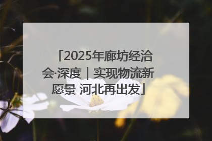 2025年廊坊经洽会·深度｜实现物流新愿景 河北再出发