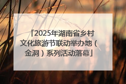 2025年湖南省乡村文化旅游节联动举办地（金洞）系列活动落幕