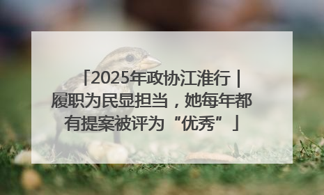 2025年政协江淮行｜履职为民显担当，她每年都有提案被评为“优秀”