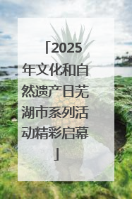 2025年文化和自然遗产日芜湖市系列活动精彩启幕