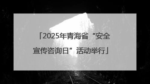 2025年青海省“安全宣传咨询日”活动举行