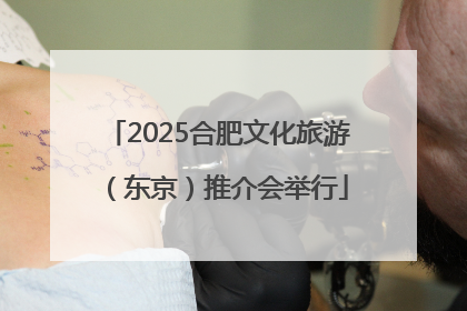 2025合肥文化旅游（东京）推介会举行