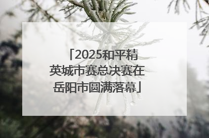 2025和平精英城市赛总决赛在岳阳市圆满落幕