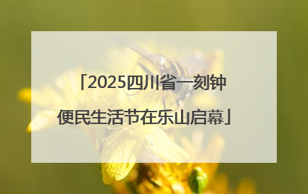 2025四川省一刻钟便民生活节在乐山启幕