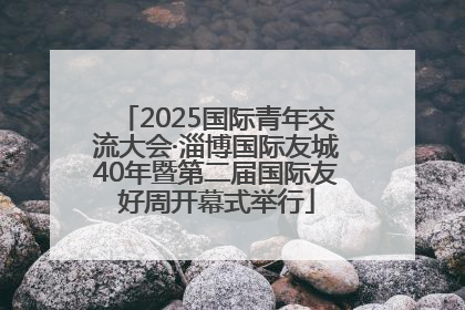 2025国际青年交流大会·淄博国际友城40年暨第二届国际友好周开幕式举行