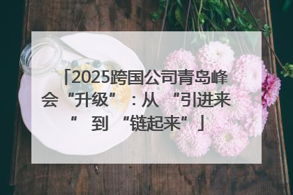2025跨国公司青岛峰会“升级”:从 “引进来” 到 “链起来”