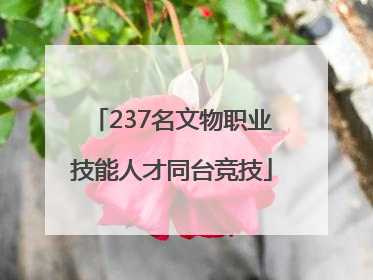 237名文物职业技能人才同台竞技