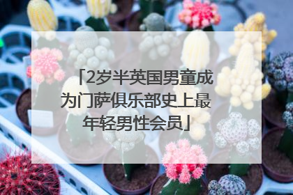 2岁半英国男童成为门萨俱乐部史上最年轻男性会员