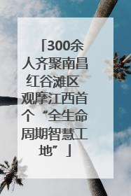 300余人齐聚南昌红谷滩区 观摩江西首个“全生命周期智慧工地”
