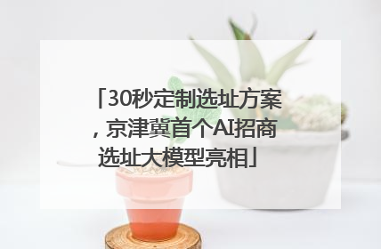 30秒定制选址方案，京津冀首个AI招商选址大模型亮相