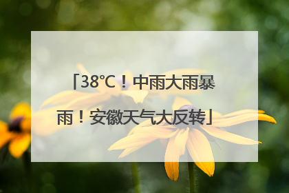 38℃！中雨大雨暴雨！安徽天气大反转