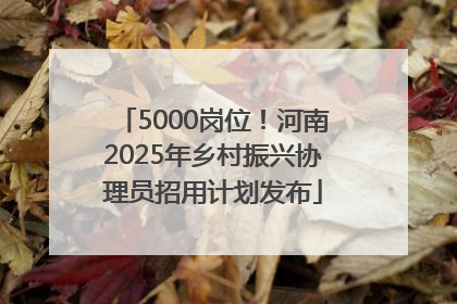 5000岗位！河南2025年乡村振兴协理员招用计划发布