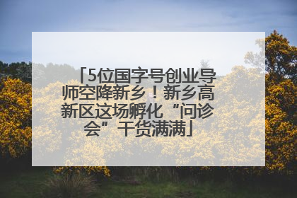 5位国字号创业导师空降新乡！新乡高新区这场孵化“问诊会”干货满满