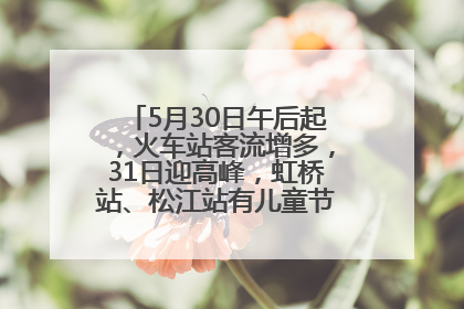 5月30日午后起，火车站客流增多，31日迎高峰，虹桥站、松江站有儿童节和端午亲子活动