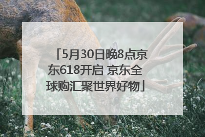 5月30日晚8点京东618开启 京东全球购汇聚世界好物