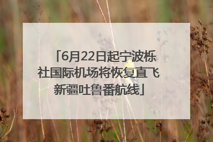 6月22日起宁波栎社国际机场将恢复直飞新疆吐鲁番航线