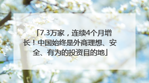 7.3万家，连续4个月增长！中国始终是外商理想、安全、有为的投资目的地