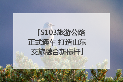 S103旅游公路正式通车 打造山东交旅融合新标杆