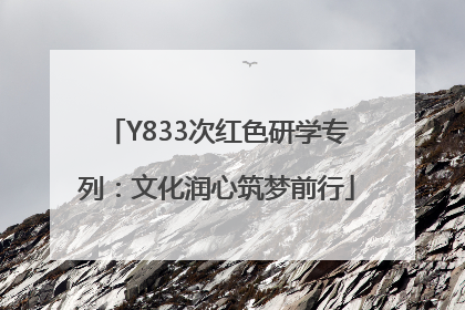 Y833次红色研学专列：文化润心筑梦前行