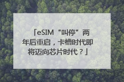 eSIM“叫停”两年后重启，卡槽时代即将迈向芯片时代？